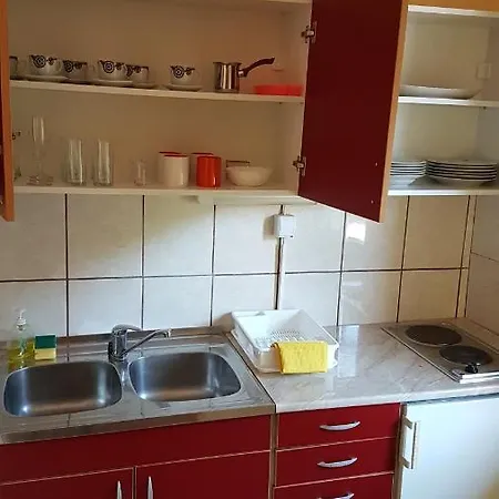 Lejlighed Smiljanic Sokobanja