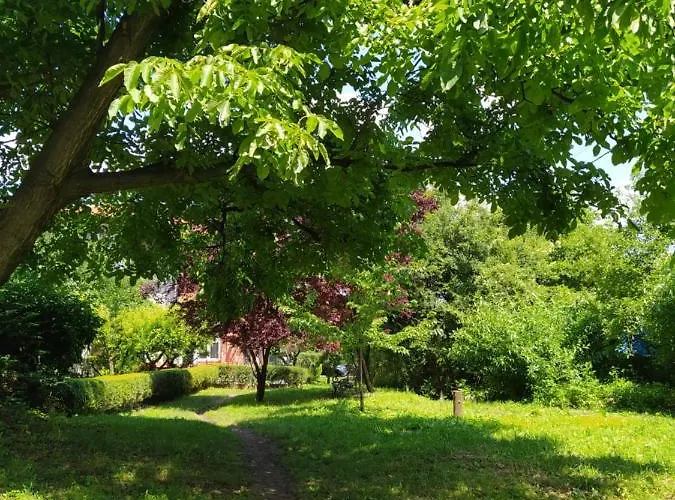 Smiljanic Сокобаня