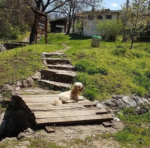 Апартаменты Smiljanic