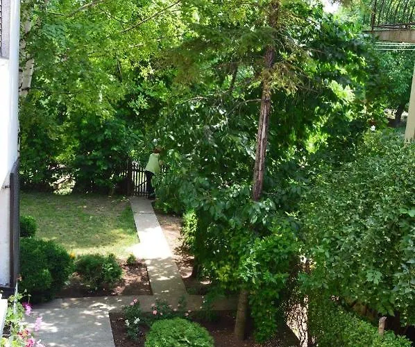 Апартаменты Smiljanic Сокобаня