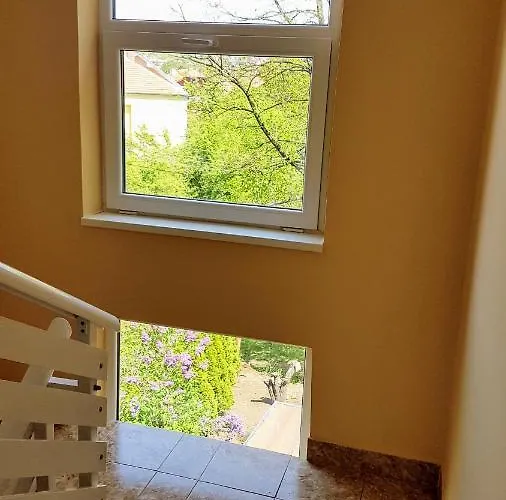 Smiljanic Сокобаня