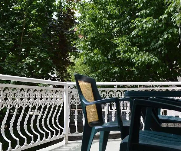 Smiljanic Апартаменты Сокобаня